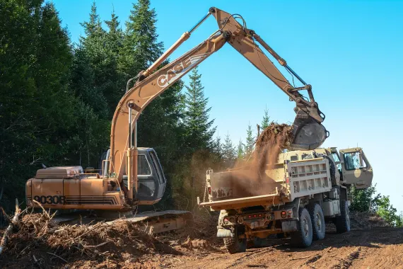 Kasino Bonkers Bet Sokongan